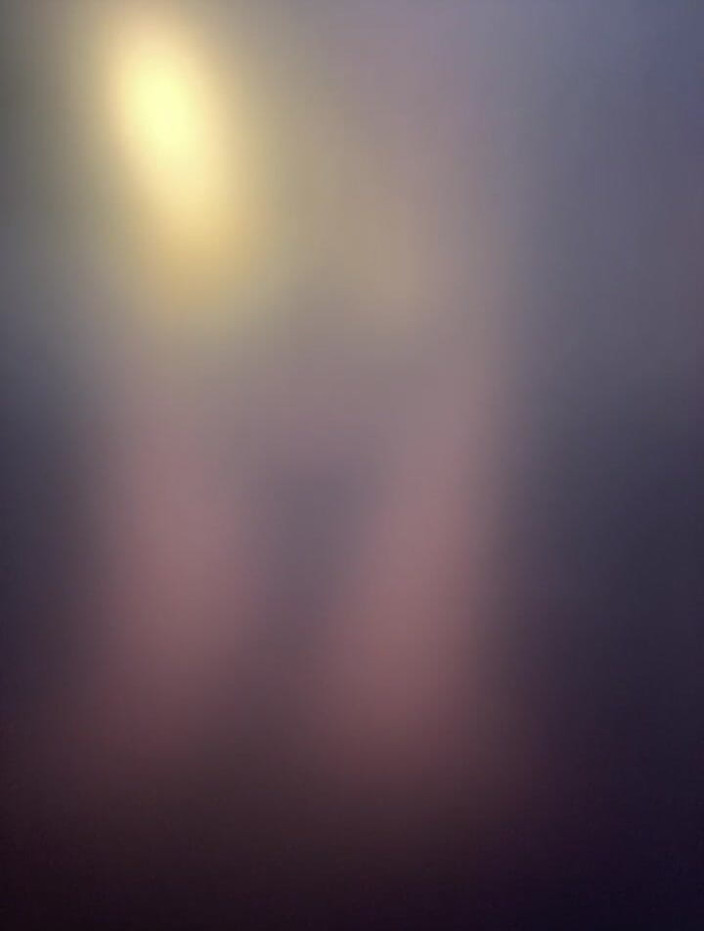 TSJade95: One Wild Webcam - Pertunjukan Webcam