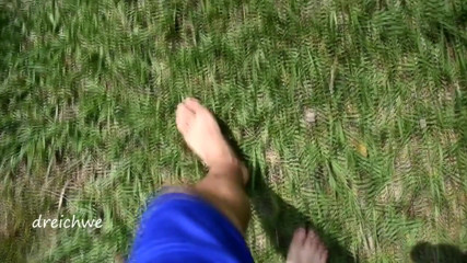 Dreichwe: Nutrendo le piante ed i fiori del campo