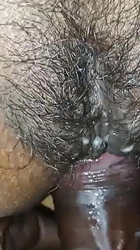 Village Desi Sex
