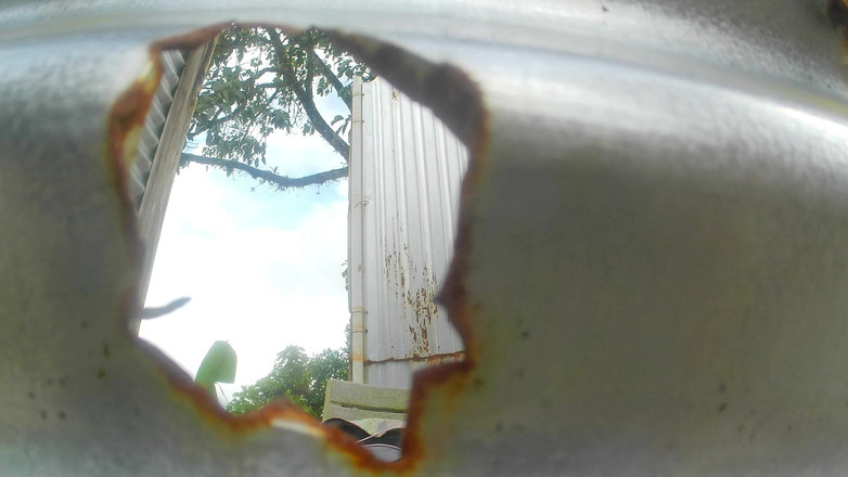 zendella usain: Ragazzi latini nella cabina