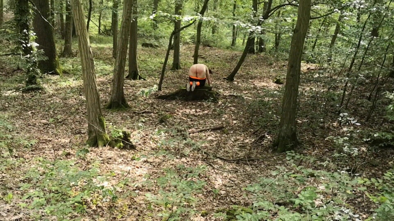Bouncy Tits Action: Ass spanking in woods