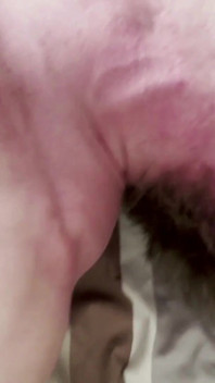미숙한 남자를 가혹하게 처벌하는 곰. 더티 토크, 때리기, 깊은 목구멍