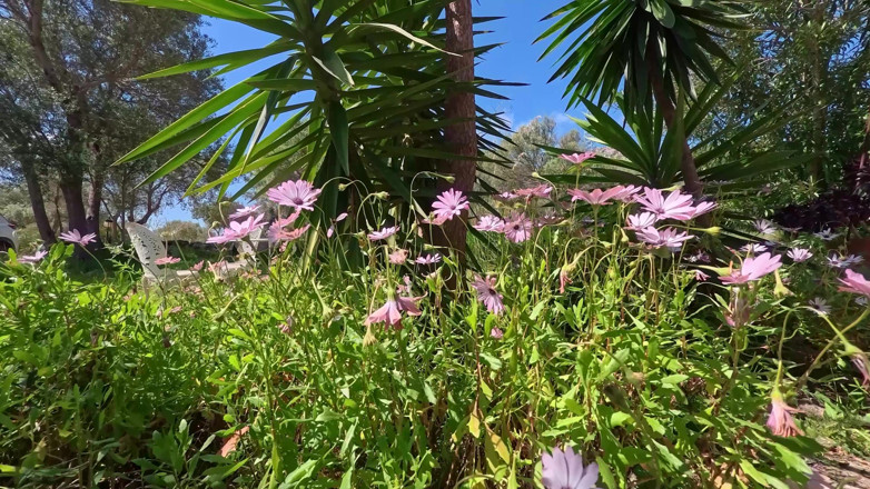 EROTICONLY: Awek blonde dan si rambut coklat menjolok hingga orgasme meletup