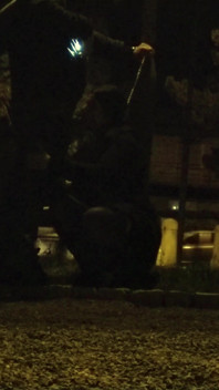 Sucking Cock by the Roadside on Rush Hour