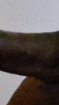 Weiche lippen lutschen schwanz super schlampig