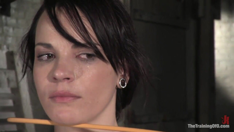 The Training of O by Kink: The Training of Dana Dearmond, Day Three
