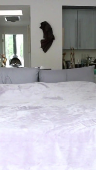 Lesbické video s Jaslene Jade a Alex Ann dvěma děvkami s tetováními si ráda užívá se sexuálními hračkami a masturbuje prsty