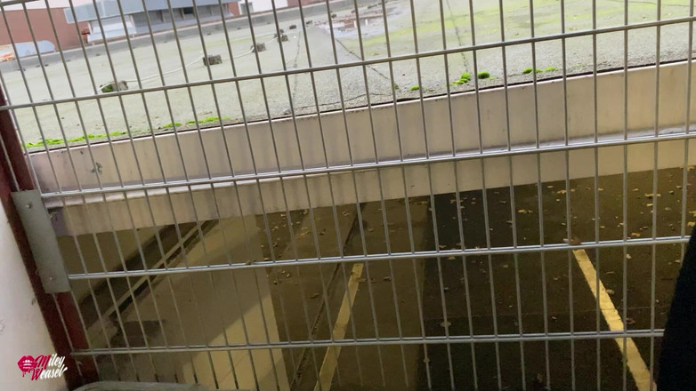 Miley Weasel: सुंदर सुनहरे बालों वाली कुतिया रिमोट सार्वजनिक रूप से नियंत्रित !!