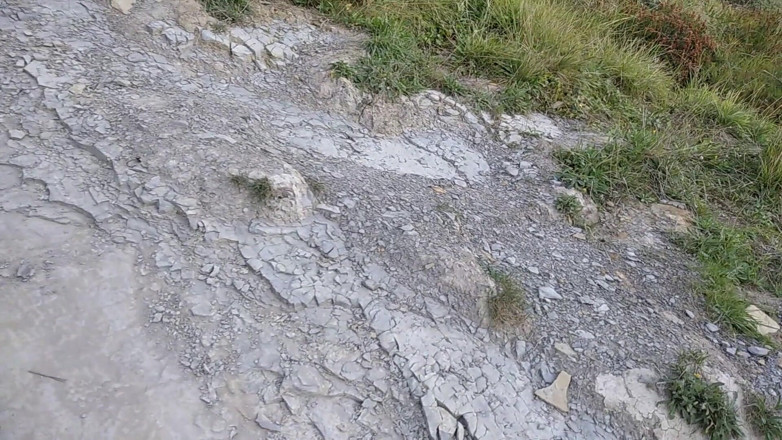 Elvissc: Ruta spre plaja, apoi masturbează pula mare în fața unui fisherman...