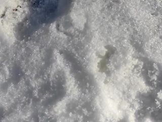 Idmir Sugary: 雪に精液をクローズアップし、雪の中で精液を示す