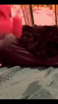 I spread my legs wide and take on my big cock dildo