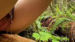 Nerdy_faery: Šprtka Faery Čůrá