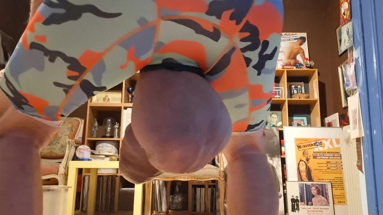 Monster_Meat_: 몬스터 폴과 황소의 공