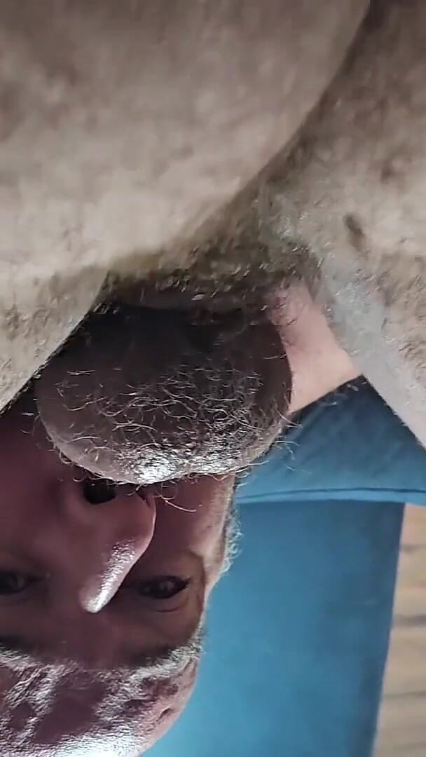 Pornstar Stepdaddy (Scruffy Stocky)