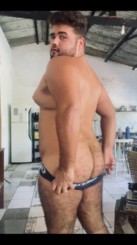 Solo Bear