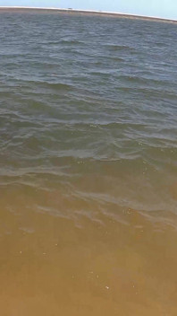 Dread Hot tidak dapat melihat tempat kosong di cadar Maranhão, yang sudah mahu duduk di zakar saya