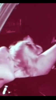 Vintage porn retro erotic theatre - the hitchhiker