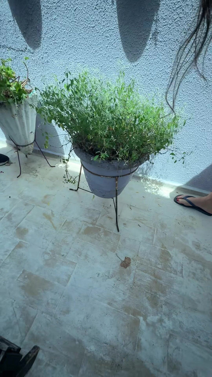 Rebeca Juicy: Trans Girl and Guy Mixing on the Plant