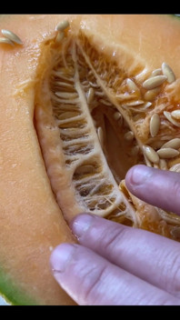 This Is What I Want You to Do to My Hairy Pussy...