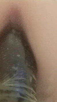 Vibrator in a Public Toilet