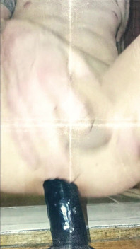 Anal Dildo Home