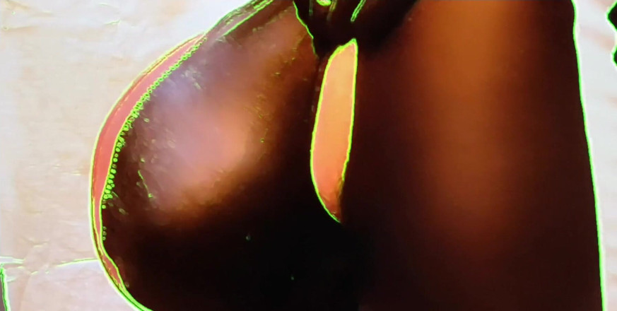 Monster_Meat_: Deri 31 talimatı