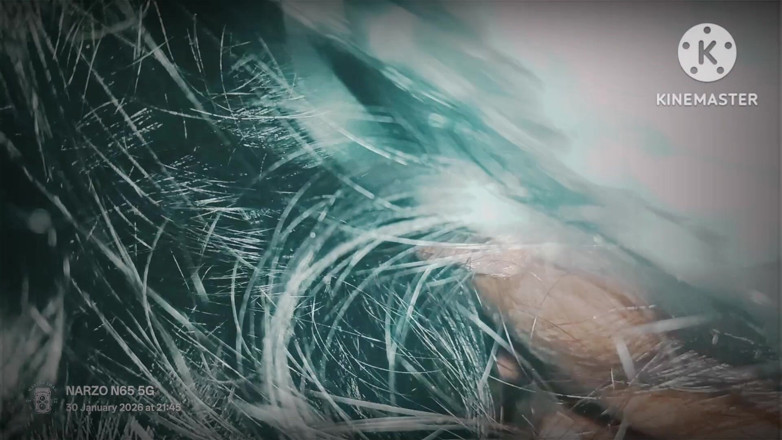 Sandeepp: Hand Job in My Step Brother Haryana Desi Video XXX