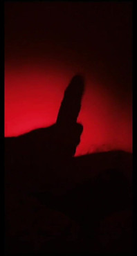 Подборка Snap