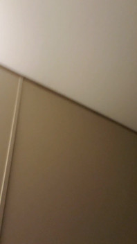 Aynı anda iki dildo sokuyor