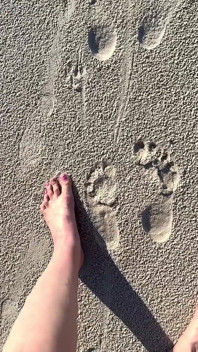 Porównanie rozmiaru 16 stóp z wydrukami piaskowymi na plaży