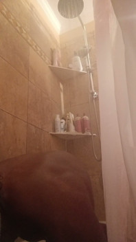 Shower Fun