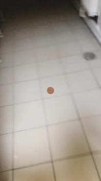 Wc-ul supermarketului