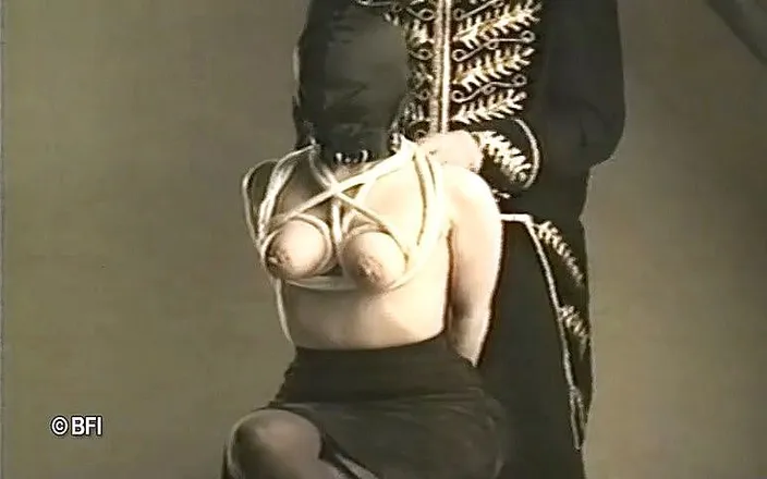 Art of Bondage: The art of bondage, vintage -DVD-