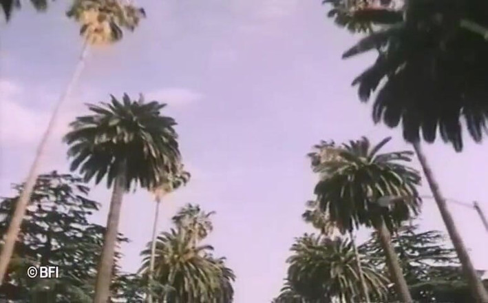 Vintage Vixens: Beverly Hills vintage sex tape - holenderskie napisy