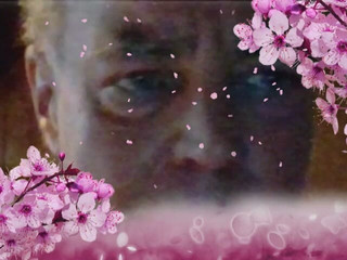 Who fucks my permanently horny anal cunt: Papis gesicht