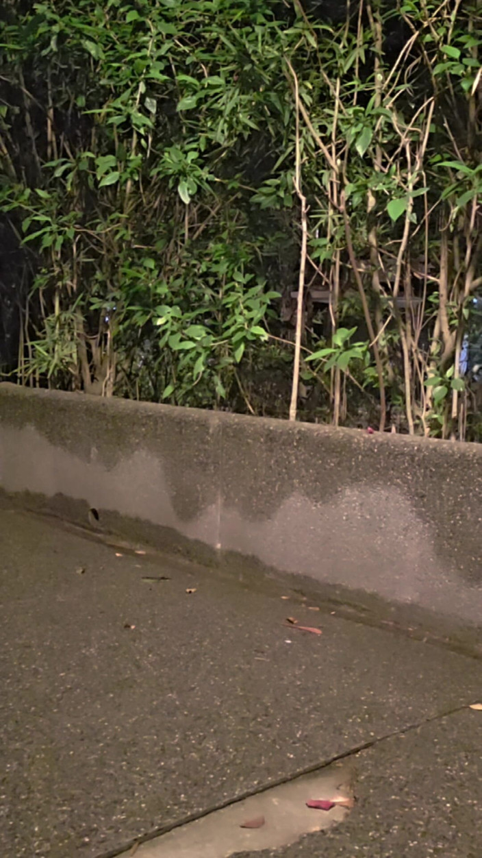 Taiwancdgirl: A pseudo-garota Tingxuan saiu usando um cadeado de castidade e...