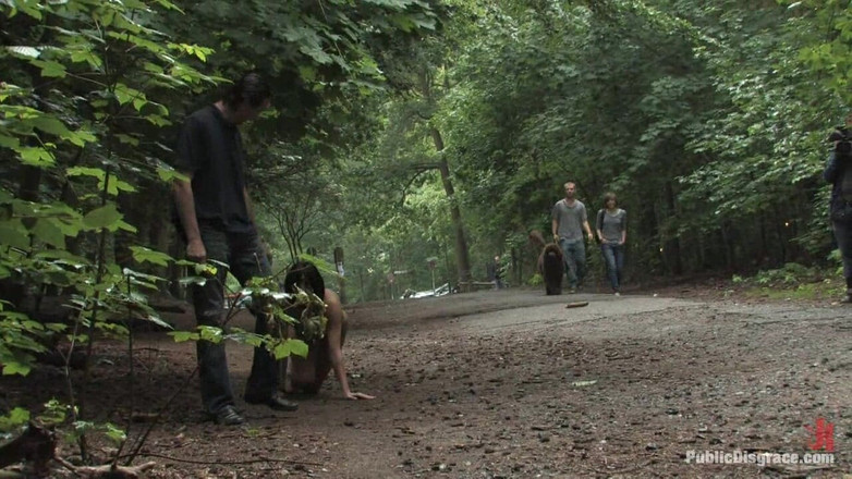 Public Disgrace by Kink: The Dog Walk