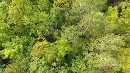 Himeros.tv: Cái kết sâu