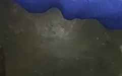 Night fucking video