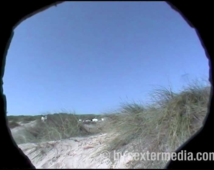 Viewer cam by Sextermedia: La ragazza in bikini mostra la pelle nuda
