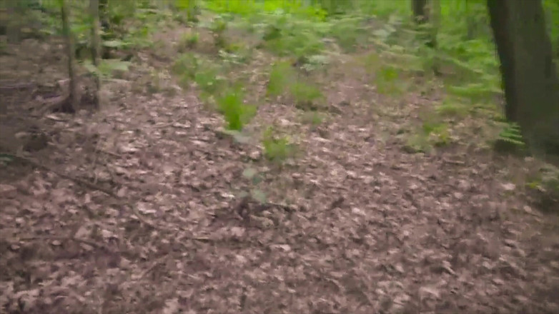 BELLOeBIOTTO: Bella Sega E Lunga Sborrata, a Torso Nudo, in Un...