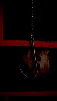 Something Interesting From the Darkness...