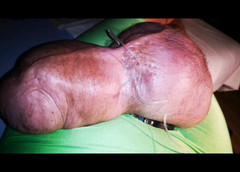 Monster_Meat_: Velké koule poskakují zleva doprava