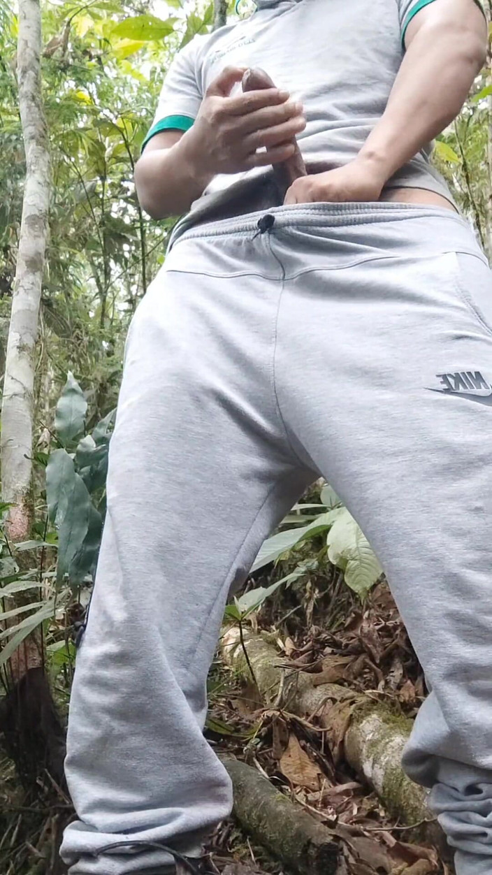 Hornyboy2058: Merg prin pădure, ajung să mă masturbez, aproape că am...