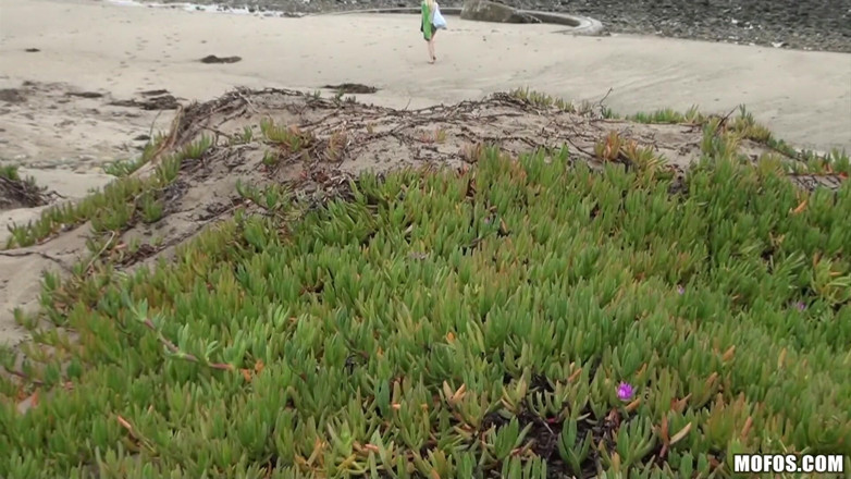 Pervs on Patrol: Pervs on patrol - Jeanie Marie Sulivan nuda sulla spiaggia perché...