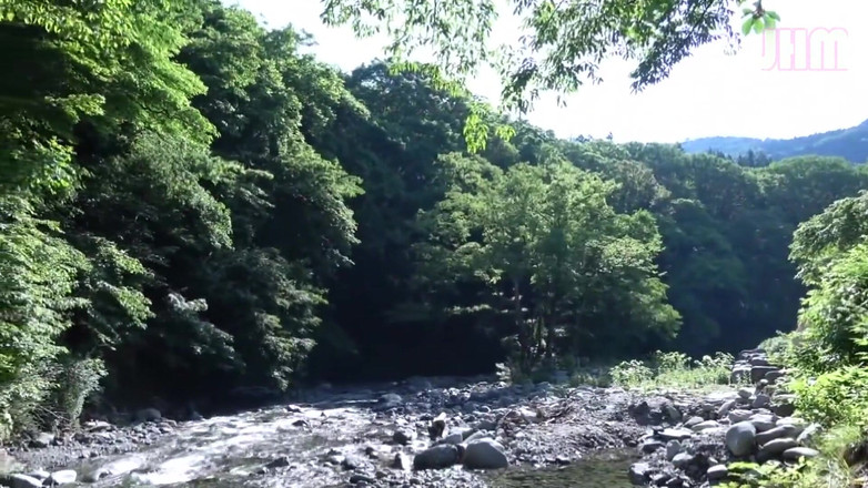 Japanese Hentai Matings: 与42岁的已婚女人卡诺卡的度假逃生 - 3