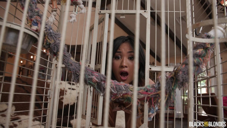 Dogfart Network: Dogfart Damion Comforts Phoebe