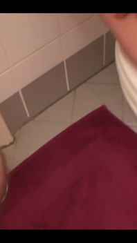 Fucking on the Toilet