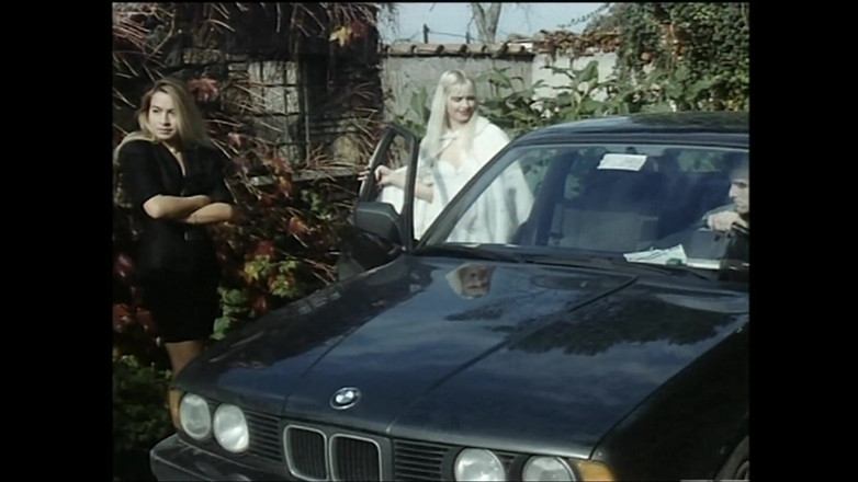 Vintage megastore: Красивую милфу с пирсингом волосатой киски и Cicciolina трахнули и кончили в рот и внутрь киски с презервативом