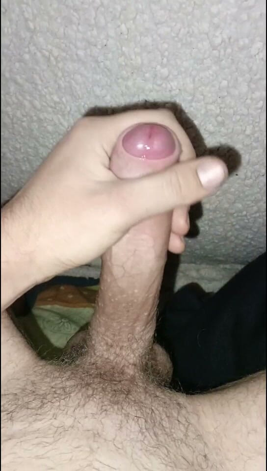 GayAugur: Meine Sammlung 2